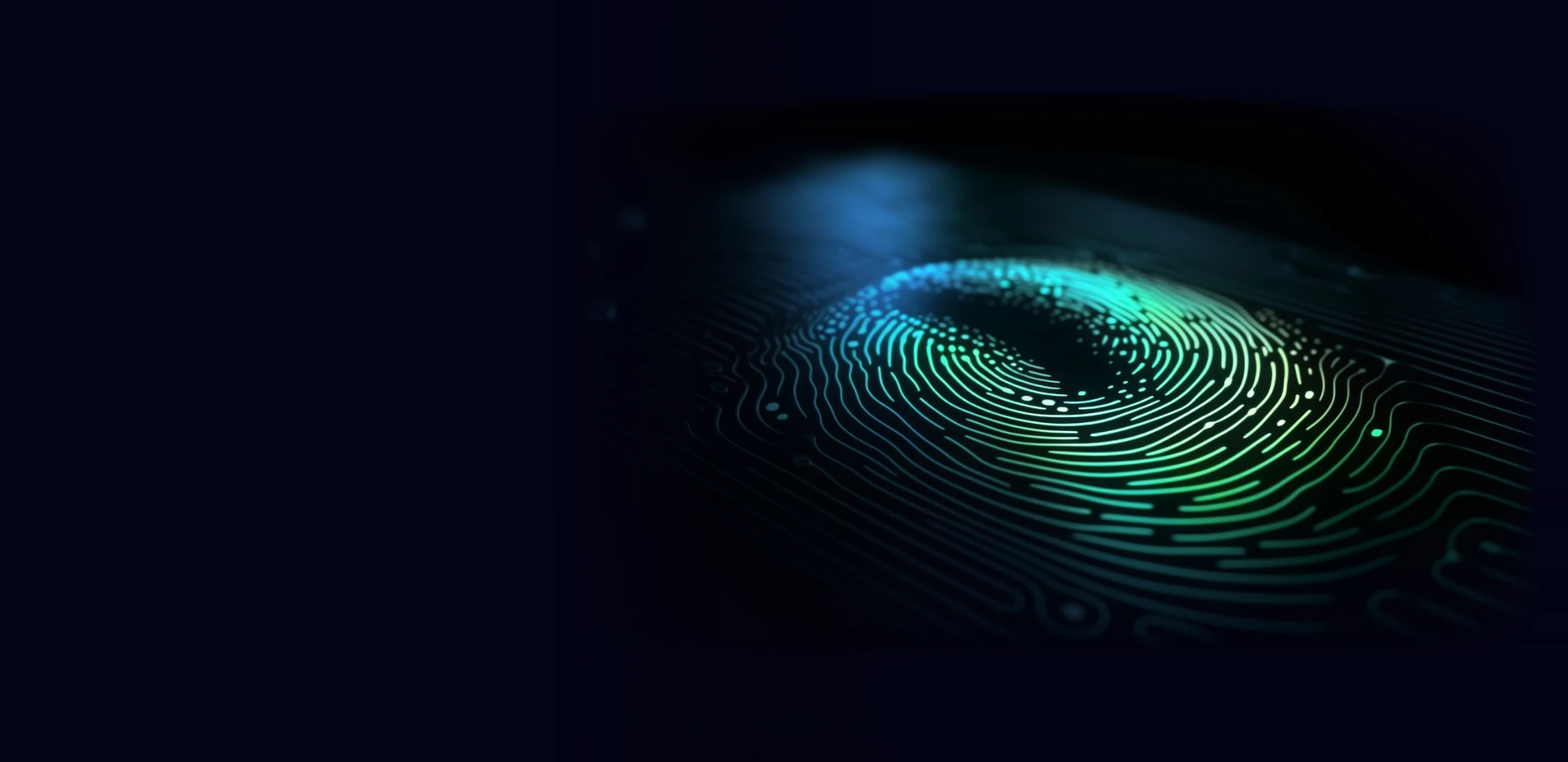 身份识别数据定制服务